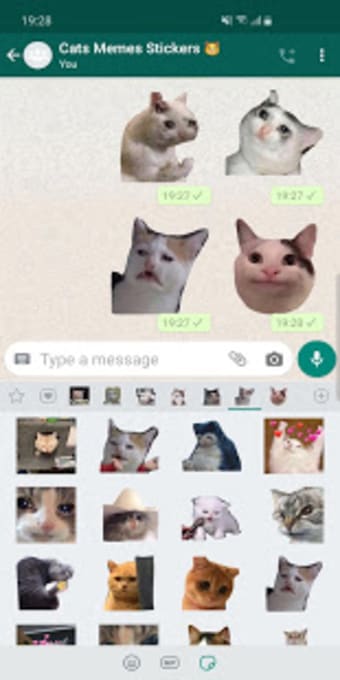 New Funny Cat Memes Stickers WAStickerApps2