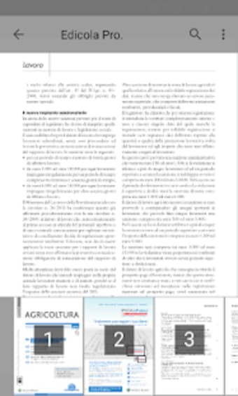 Edicola Professionale1