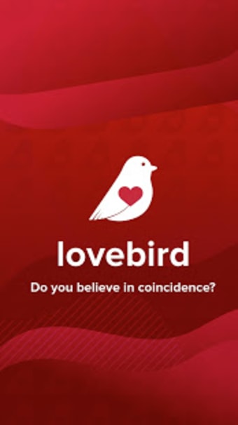 LoveBird3