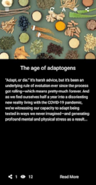 Rritual: adaptogen mushrooms for mental health0