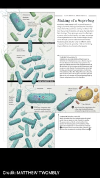 Scientific American1