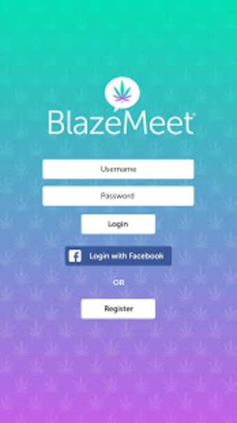 Blaze Meet2