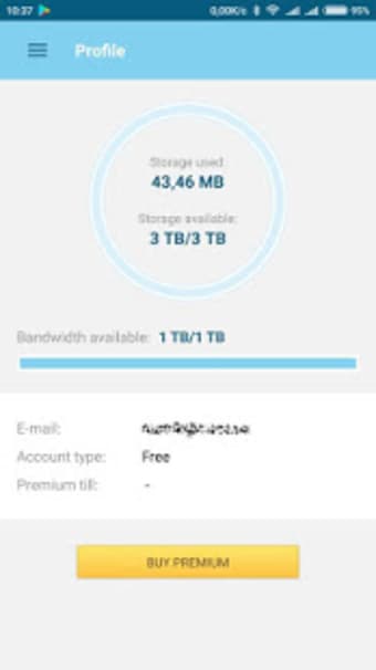 Datafile.com File Manager1