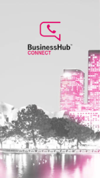 BusinessHub Connect1