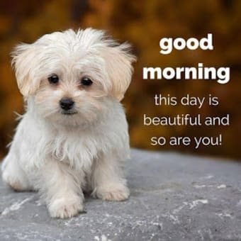 Good morning evening night messages and images Gif2