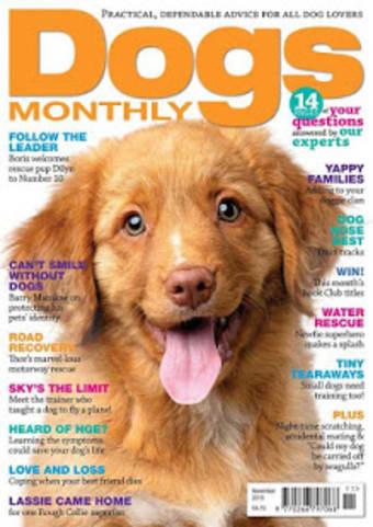 Dogs Monthly Magazine0