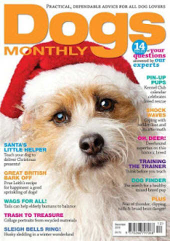 Dogs Monthly Magazine1