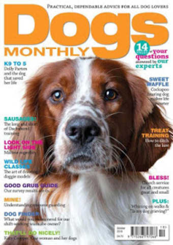 Dogs Monthly Magazine2