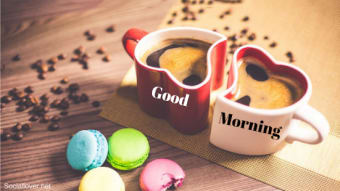 Good Morning Evening wishes images Gif2