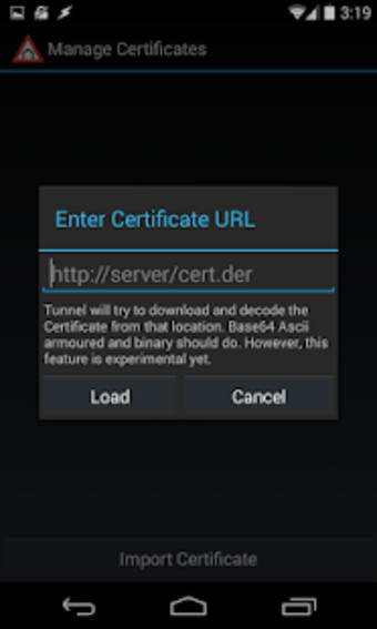 TLS/SSL Tunnel0