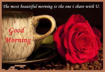 Flowers Roses Images Gif - Good Morning Messages0