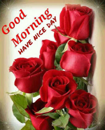 Flowers Roses Images Gif - Good Morning Messages1