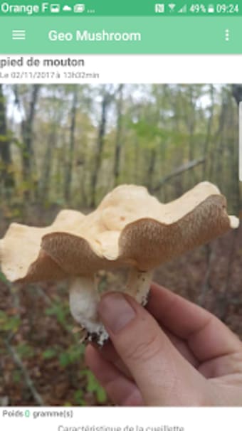 Geo Mushroom - Mushroom Picking1