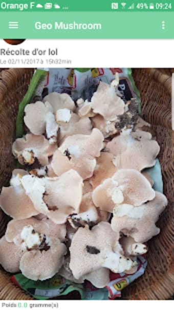 Geo Mushroom - Mushroom Picking2