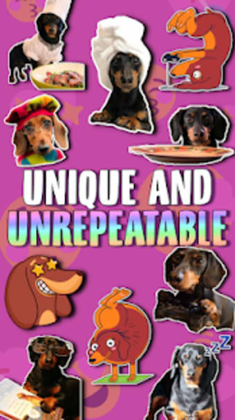 WAstickerApps Hot dog Dachshund Stickers Memes2