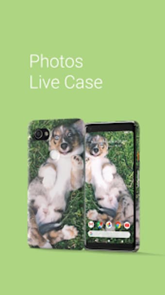 Live Case2