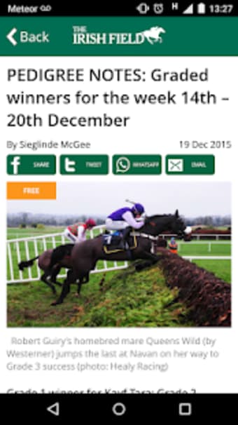 The Irish Field News1