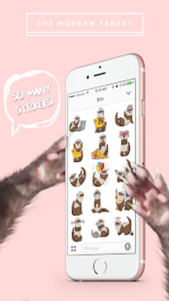 Ferret Stickers by The Modern Ferret1