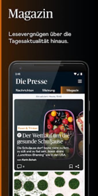 Die Presse2