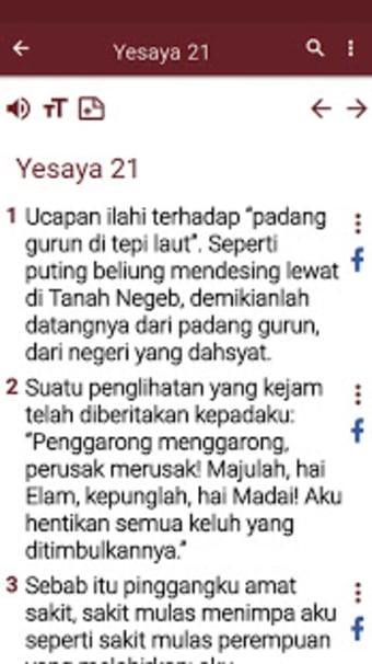 Bible in Indonesian1