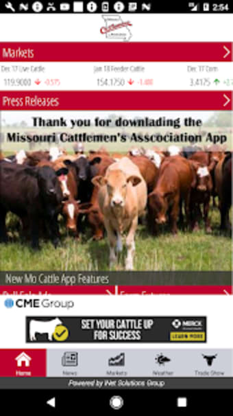 MO Cattle3