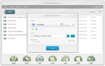 Freemake Audio Converter0