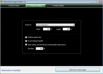 Mytoolsoft Photo Resizer0