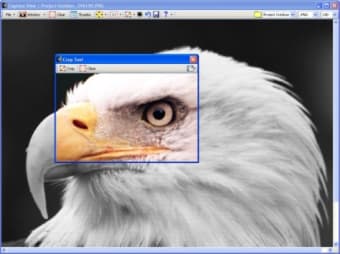 Capture View2