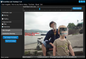 Head Blur and Masking0
