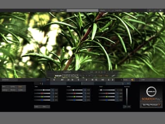 Scratch Play1