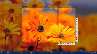 Free Screenshot Tool0