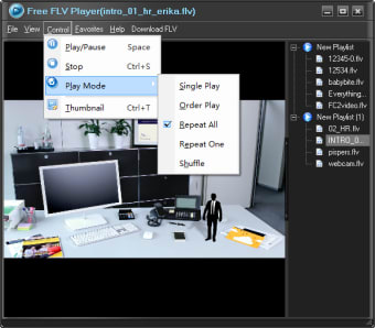Free FLV Player4