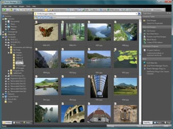 Photo Manager 2010 Professional0