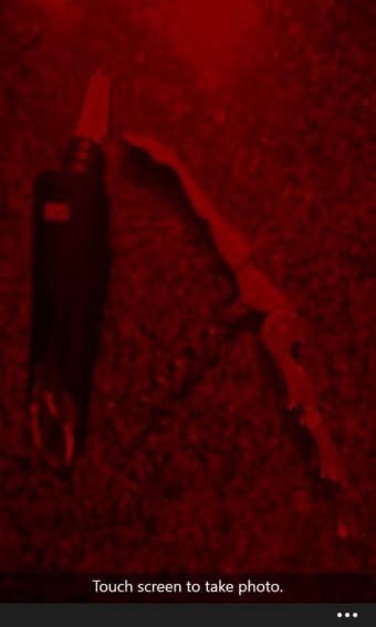 Spy Cam  100