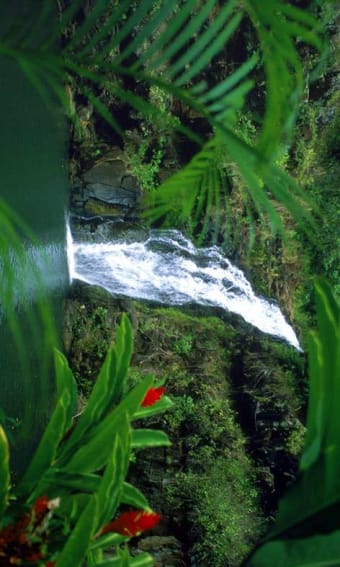 3D Waterfall HD Wallpaper1