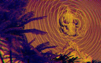 Island Fantasy 3D Music Visualiser8