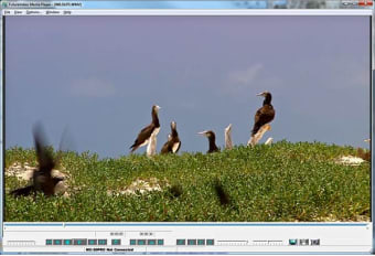 FutureVideo MediaPlayer1