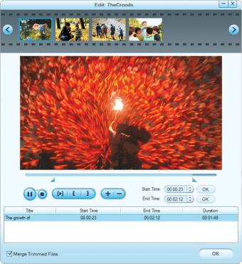 Firecoresoft Video Converter3