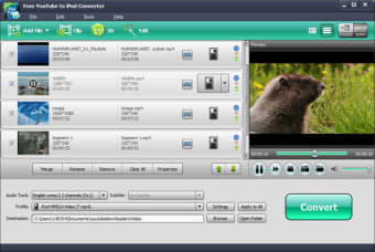 Free YouTube to iPod Converter0