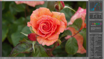 FastRawViewer5