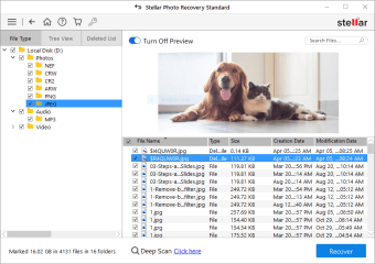 Stellar Photo Recovery Standard1