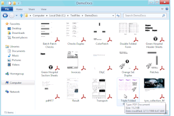 PDF Previewer  100