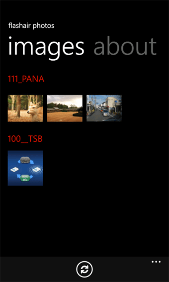 FlashAir Photos  101