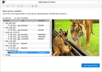 Stellar Repair for Photo0