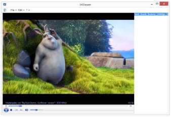 InViewer1