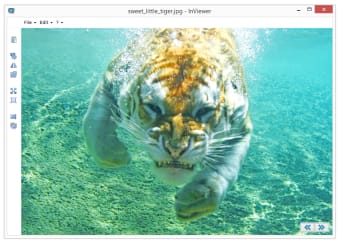 InViewer2