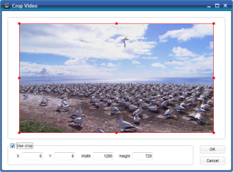 Free Video to GIF Converter0