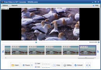 Free Video to GIF Converter4