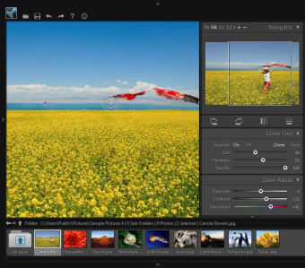 Free Clone Stamp Tool0