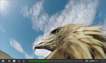 All Video Player2